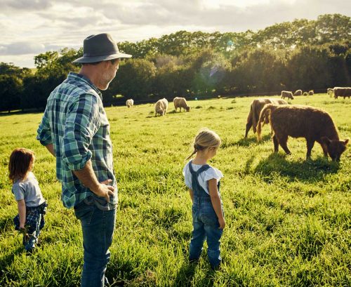 Male farmer and two kids looking at cows in a paddock