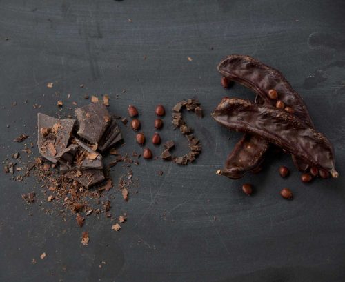 cocoa nib and chocolate next to carob pods with a vs made out of seeds and nibs
