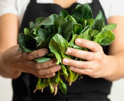 Woman holding big bunch of spinach