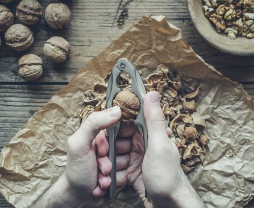 Cracking open a walnut with a nut cracker