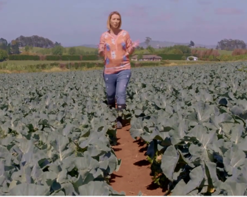Healthy Food Guide TV Series episode 3 Healthy Food Guide TV Series episode 3