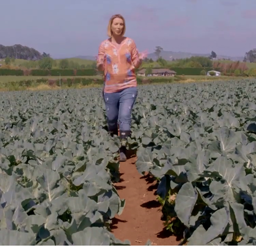Healthy Food Guide TV Series episode 3