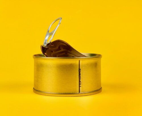canned fish