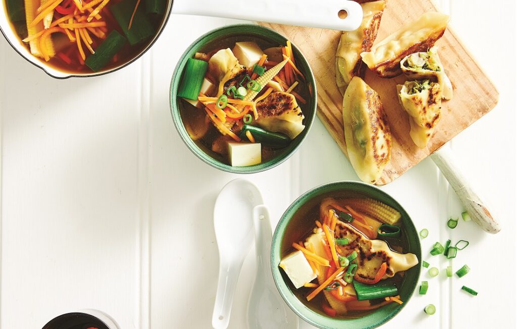 Pork and vegetable gyoza soup