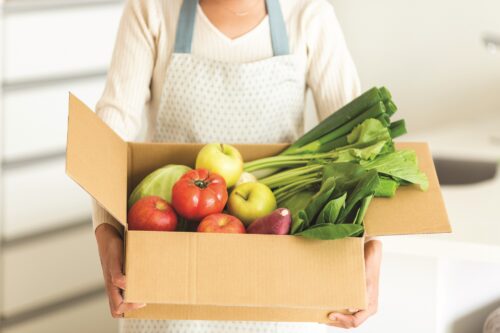 meal delivery kits
