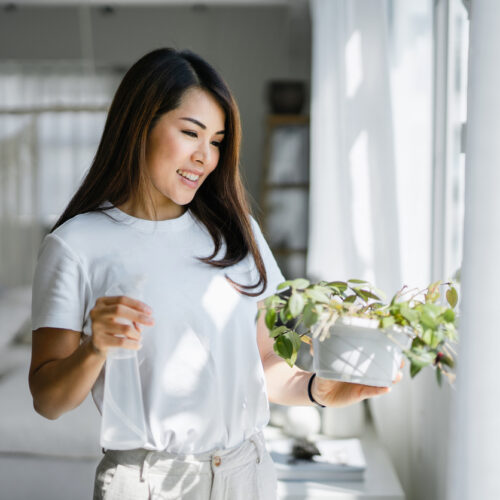 Three ways to get your nature fix without a garden