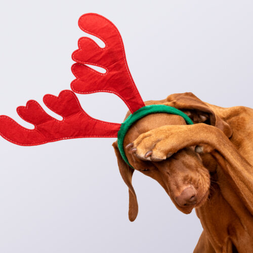 Christmas Stress Strategies