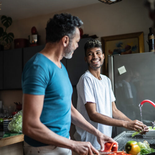 Same-sex couples divide household chores more fairly – here’s what they told us works best