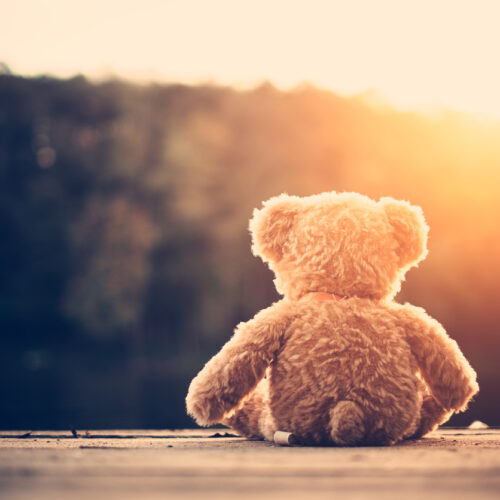 How loneliness changes the way our brains process the world