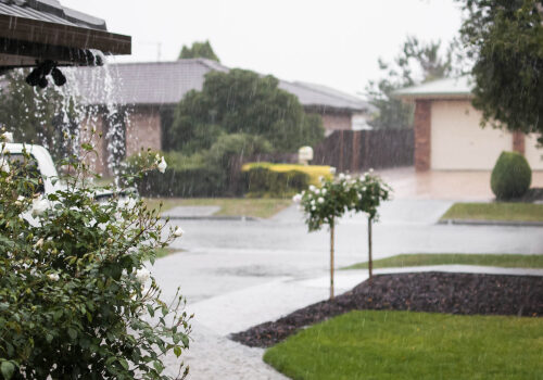 Collecting rainwater for your garden