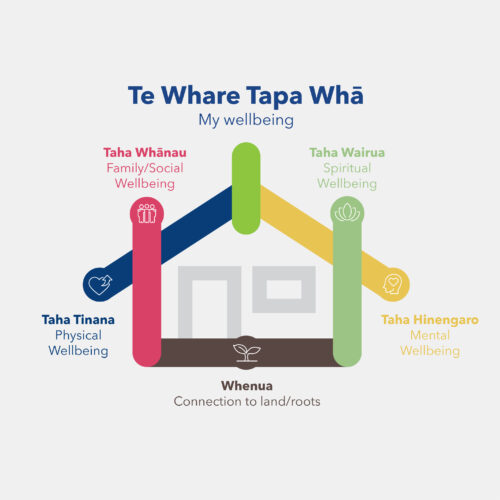 Exploring Te Whare Tapa Whā: Thoughts from our director