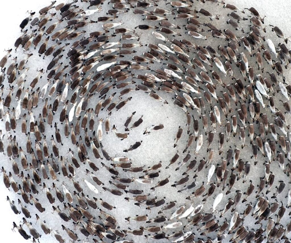 Creating a circle of support: Thoughts from our director