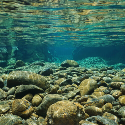 Rock bottom is a firm foundation: Thoughts from our director