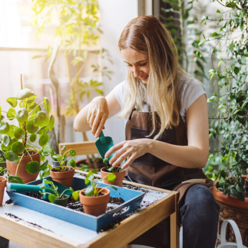 Make a vertical herb spiral