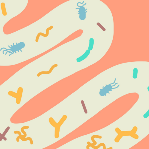 Ask the expert: how to support gut health while on antibiotics