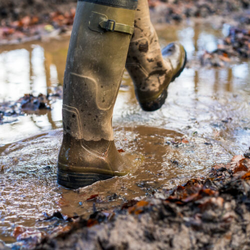 Walking through the mud: Thoughts from our director