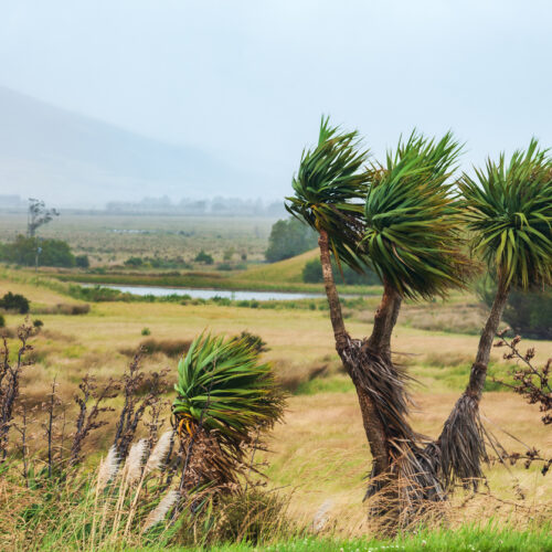 What northern NZ’s wet and sticky summer reveals about our warming atmosphere