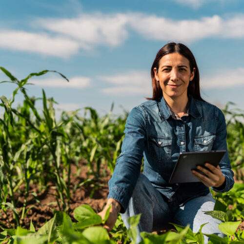 Toolbox talks: Be sun smart when working outdoors