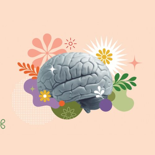 Science update: Creatine