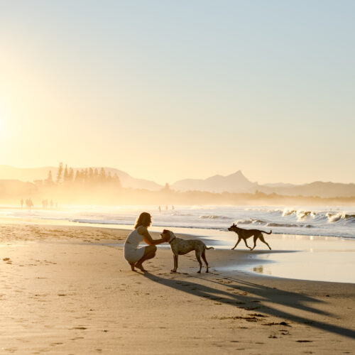 Why grieving a pet can be as hard as grieving a person