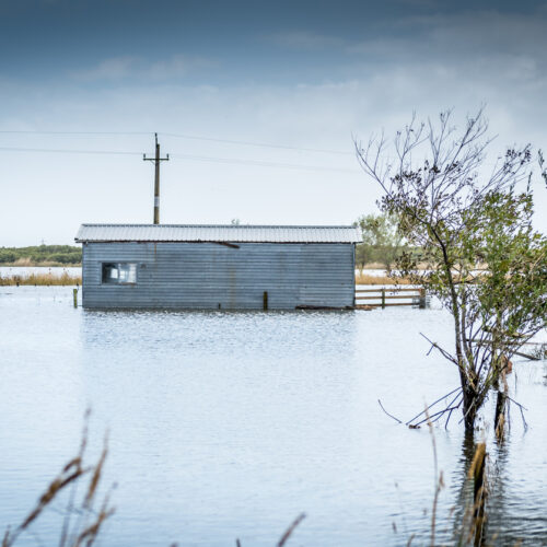 4 lessons NZ should take from another summer of weather disasters