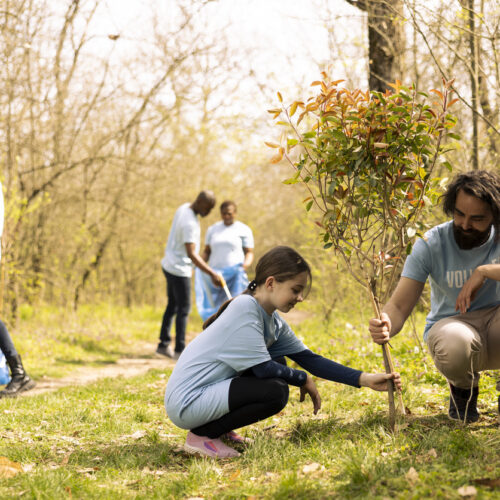 2027 calendar of key wellbeing events